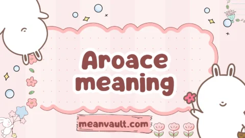 aroace meaning