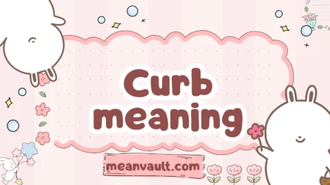 curb meaning