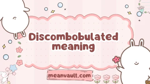 discombobulated meaning