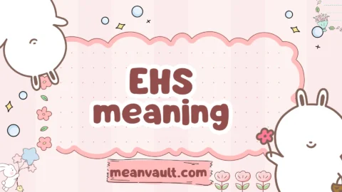 ehs meaning