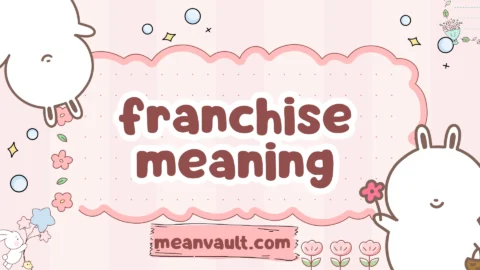 franchise meaning