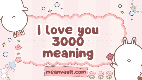 i love you 3000 meaning