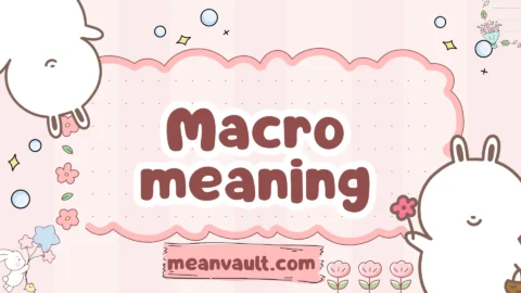 macro meaning