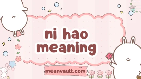 ni hao meaning