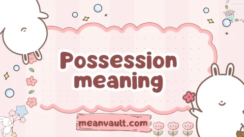 possession meaning