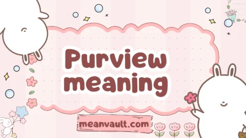 purview meaning