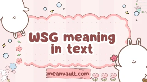 wsg meaning in text