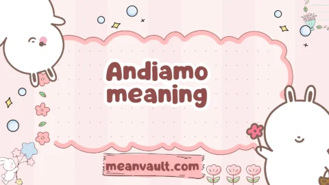 andiamo meaning