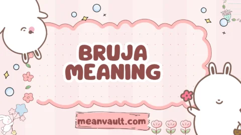 bruja meaning