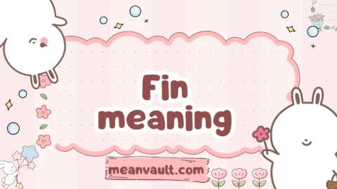 fin meaning