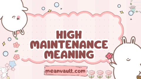 high maintenance meaning