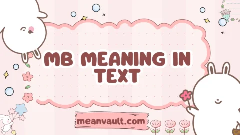 mb meaning in text
