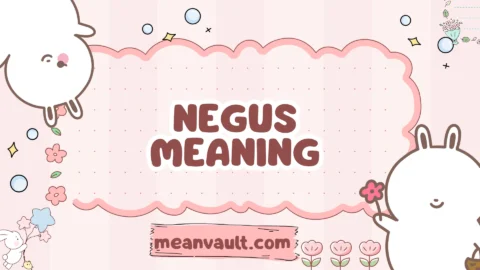 negus meaning