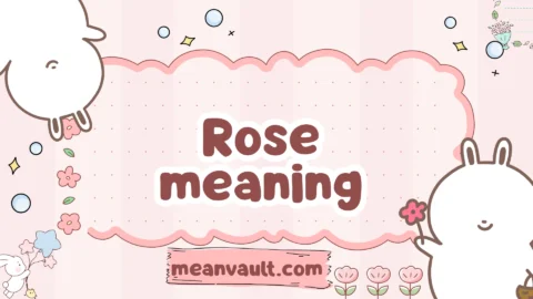 rose meaning