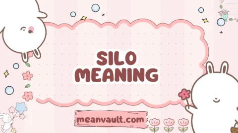 silo meaning