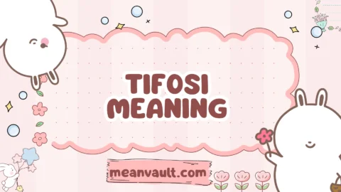 tifosi meaning