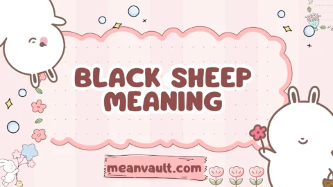 black sheep meaning