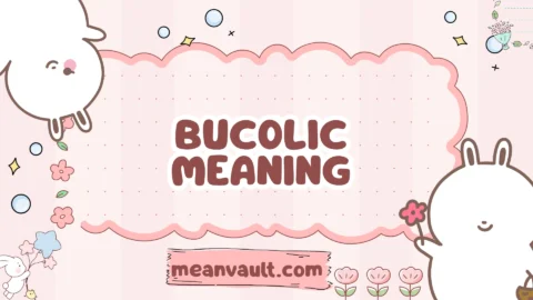 bucolic meaning