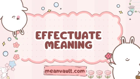 effectuate meaning