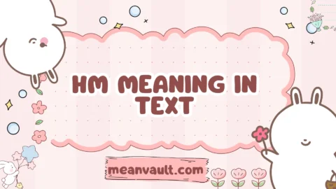 hm meaning in text