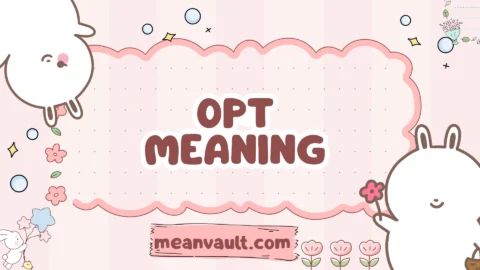 opt meaning