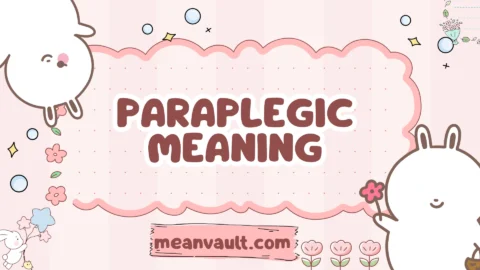 paraplegic meaning