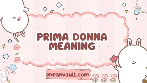prima donna meaning