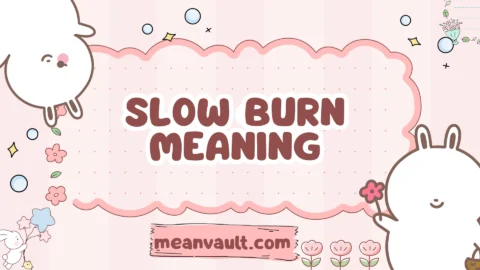 slow burn meaning