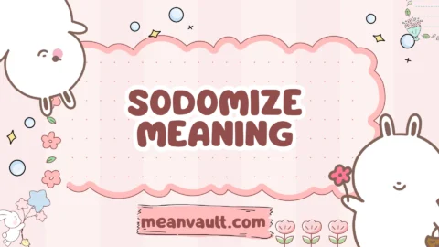 sodomize meaning