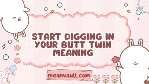 start digging in your butt twin meaning