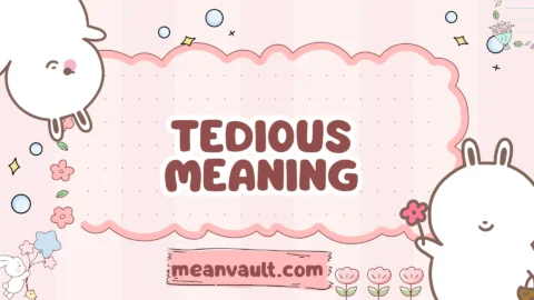 tedious meaning