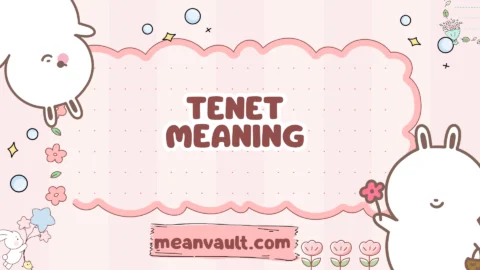 tenet meaning
