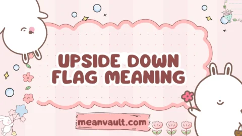 upside down flag meaning