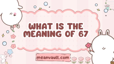 what is the meaning of 67