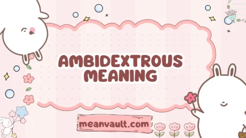 ambidextrous meaning
