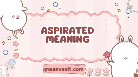 aspirated meaning