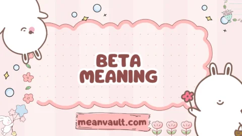 beta meaning