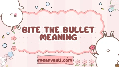 bite the bullet meaning