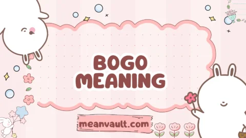 bogo meaning
