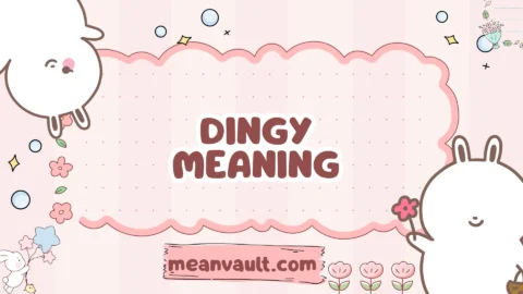 dingy meaning