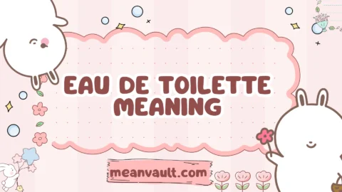 eau de toilette meaning