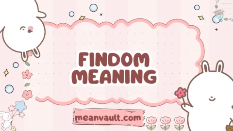 findom meaning