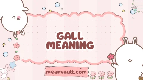 gall meaning