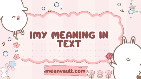 imy meaning in text