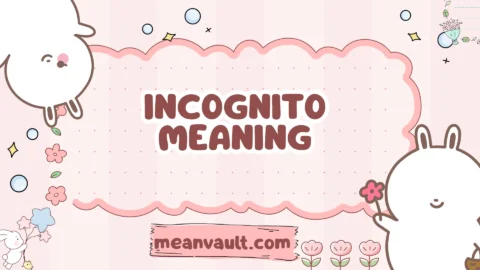 incognito meaning
