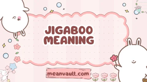 jigaboo meaning