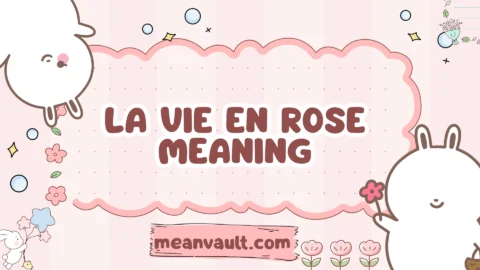 la vie en rose meaning