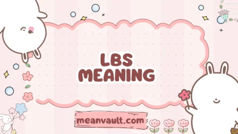 lbs meaning