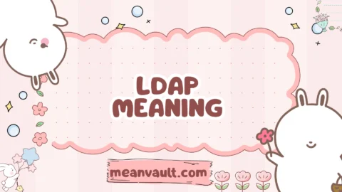 ldap meaning