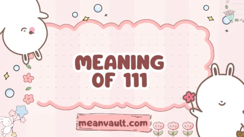 meaning of 111